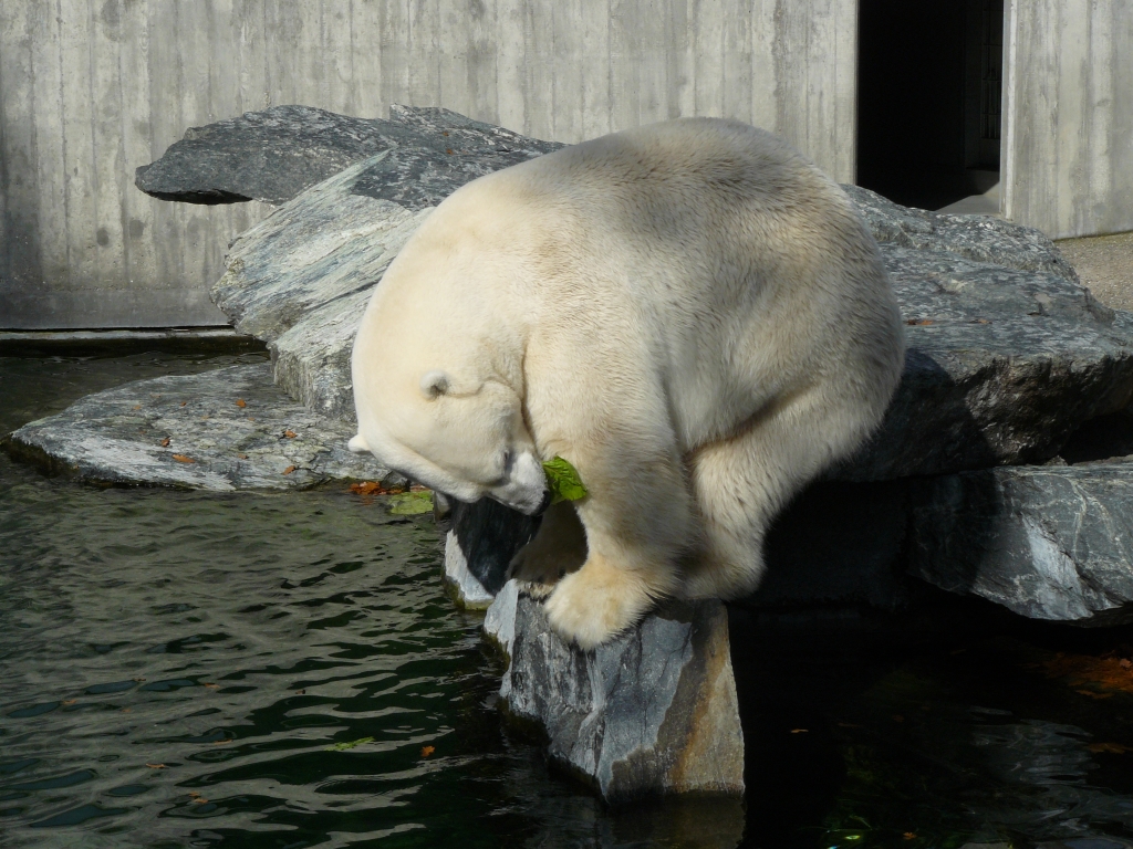 Anton im Zoo Stuttgart